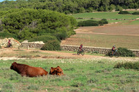 16VMBTT - FERRERIES Pere Catalá