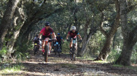 16VMBTT Fotos Jonny Bagur