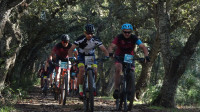 16VMBTT Fotos Jonny Bagur