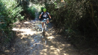16VMBTT Fotos Jonny Bagur