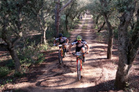 16VMBTT - FERRERIES Manolo Roselló