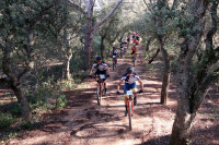 16VMBTT - FERRERIES Manolo Roselló