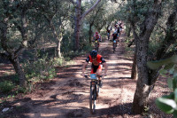16VMBTT - FERRERIES Manolo Roselló