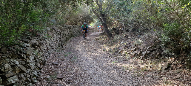 Stage2 St.LLuis - photos by Kike Cardona