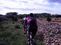Fotos capturades per Toni Bosch