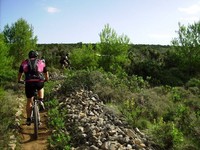 Fotos capturades per Toni Bosch