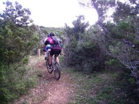 Fotos capturades per Toni Bosch