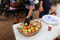 fotos Nolo Roselló