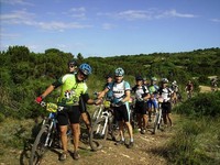 Fotos capturades per Toni Bosch
