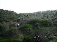 Fotos capturades per Toni Bosch