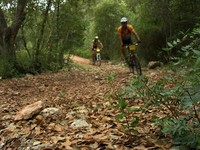 Fotos oficials (Kike Cardona i Nini Marquès)