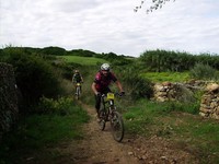 Fotos capturades per Toni Bosch