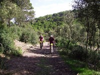 Fotos capturades per Toni Bosch
