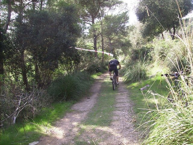Fotos capturades per Toni Bosch