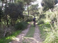 Fotos capturades per Toni Bosch
