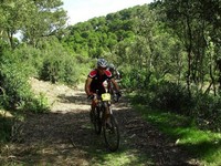 Fotos capturades per Toni Bosch