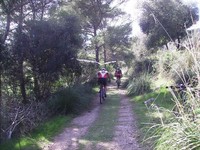 Fotos capturades per Toni Bosch