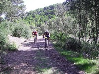 Fotos capturades per Toni Bosch