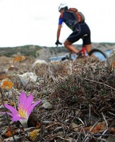 7ª VOLTA A MENORCA BTT RUTA 3 (31_10_2011) Fotos Kike Cardona