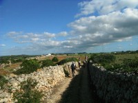 Fotos 8a Volta a Menorca BTT