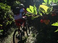 Fotos 8a Volta a Menorca BTT