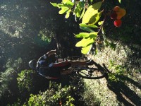 Fotos 8a Volta a Menorca BTT