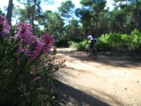 Fotos 8a Volta a Menorca BTT
