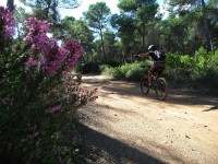 Fotos 8a Volta a Menorca BTT
