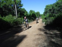 Fotos 8a Volta a Menorca BTT