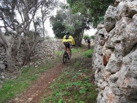 Fotos 8a Volta a Menorca BTT