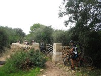 Fotos 8a Volta a Menorca BTT