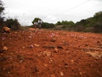 Fotos 8a Volta a Menorca BTT