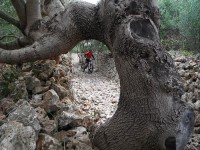Fotos 8a Volta a Menorca BTT