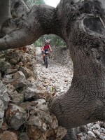 Fotos 8a Volta a Menorca BTT