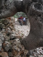 Fotos 8a Volta a Menorca BTT