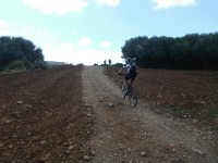 2ona etapa