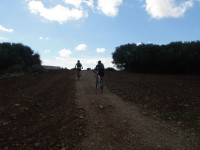 2ona etapa