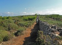 7ª VOLTA A MENORCA BTTRuta 1 (29_10_2011) Fotos Kike Cardona