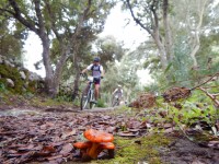 4ª Etapa - fotos Kike Cardona
