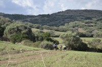 Segona Etapa - fotos Niní Marqués