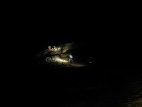 ETAPA NOCTURNA
