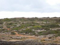 SEGONA ETAPA