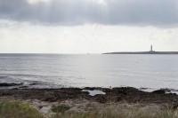 SEGONA ETAPA