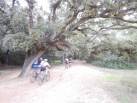 TERCERA ETAPA
