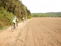 TERCERA ETAPA