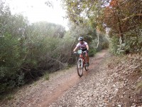TERCERA ETAPA