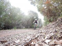 TERCERA ETAPA