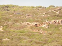TERCERA ETAPA