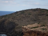 TERCERA ETAPA
