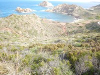 TERCERA ETAPA